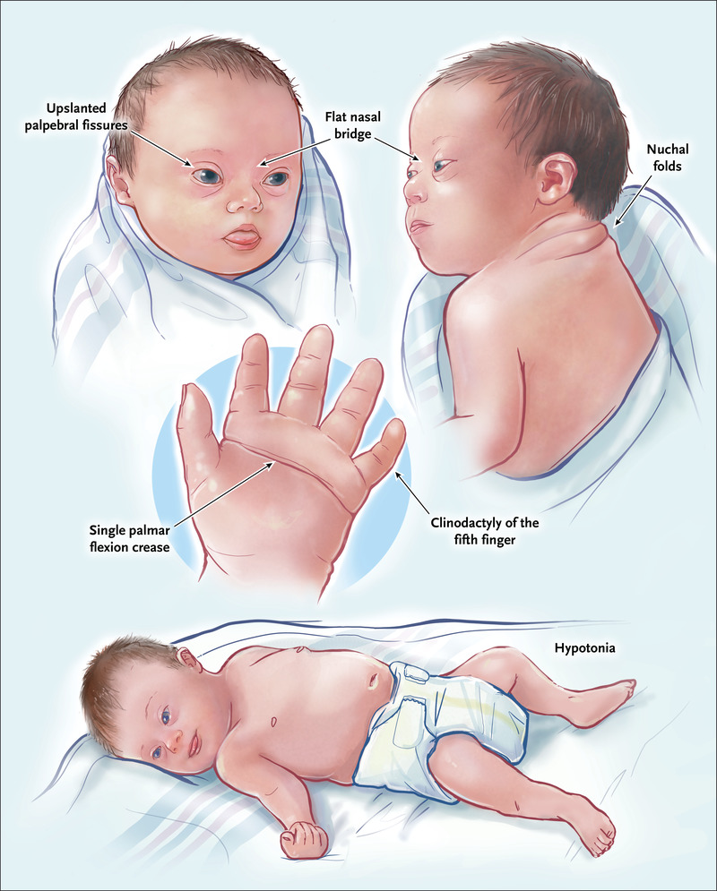 Pasted image 20260924135907.png
