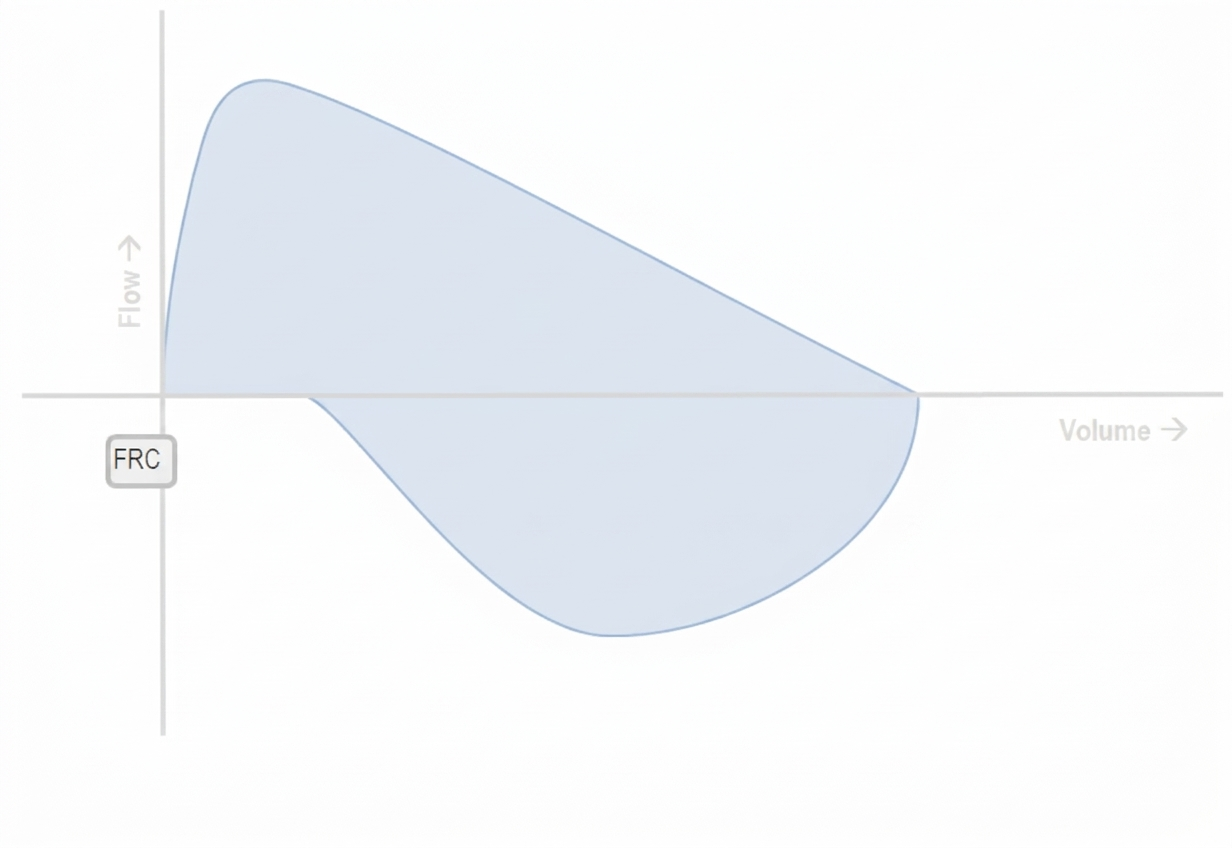 Pasted image 20260927110348.png