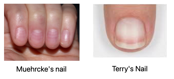 Pasted image 20260928144944.png