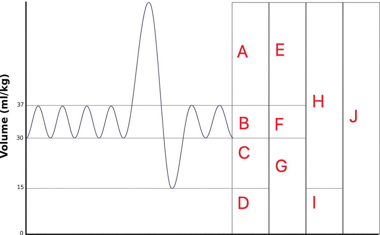 Spirometry.png