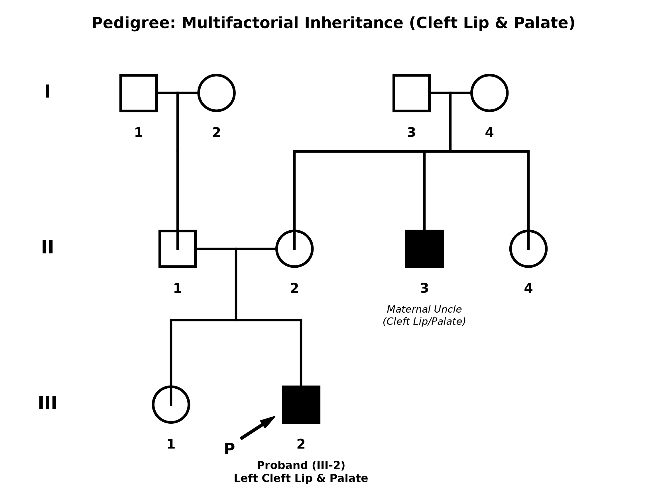 pedigree_gen029_cleft.png